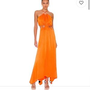 Visitant Maxi Dress in Papaya
ELLIATT